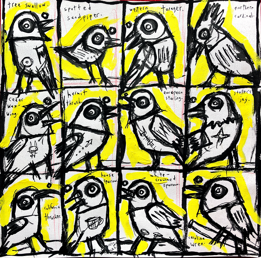 a small collection of american birds by Matt Sesow, 2022