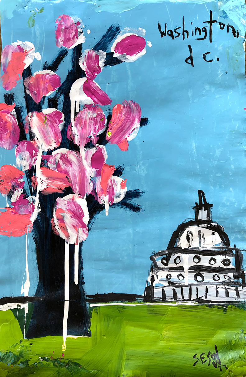 cherry blossoms (with Capitol building) by Matt Sesow, 2022